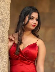 call girl service in Gogunda